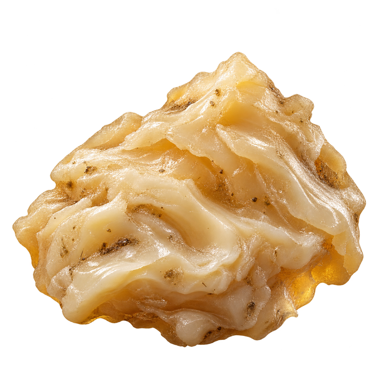 Sebo del Hobglob
